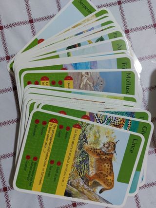 quiz box su animali con soluzioni 