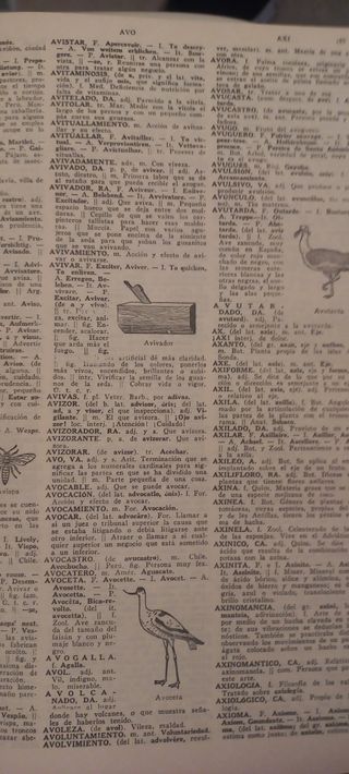DICCIONARIO HISPÁNICO UNIVERSAL 