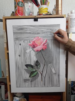 Cuadro Rosa a Lápiz 