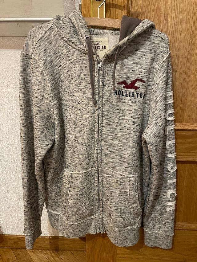 Sudadera con capucha y cremallera Hombre Hollister