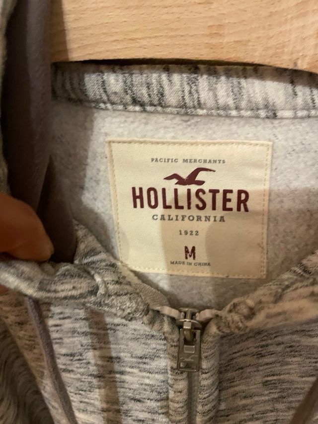 Sudadera con capucha y cremallera Hombre Hollister
