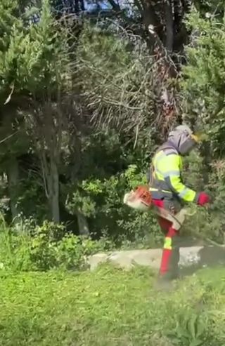 Jardinero económico 