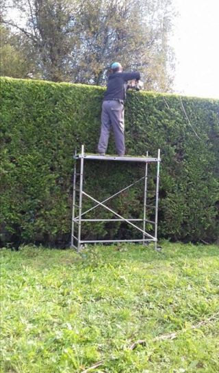 Jardinero económico