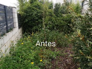 Limpieza de parcelas jardinero 