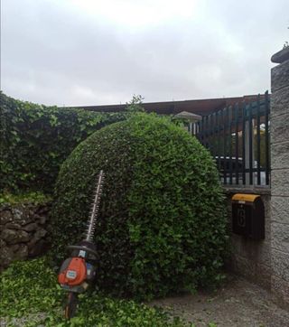 Limpieza de parcelas jardinero 