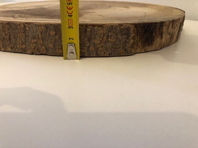 Sezione tronco d’albero decorativa