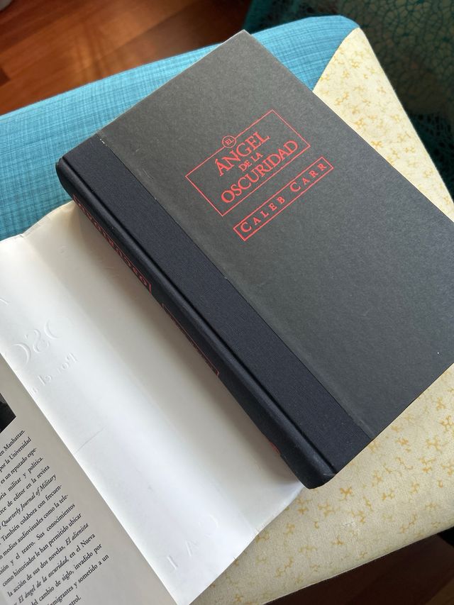 El Angel de La Oscuridad