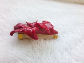 Conjunto pendientes y broche flamenca rojo y verde