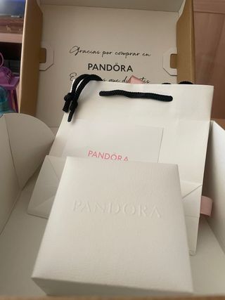 Pulsera pandora moments