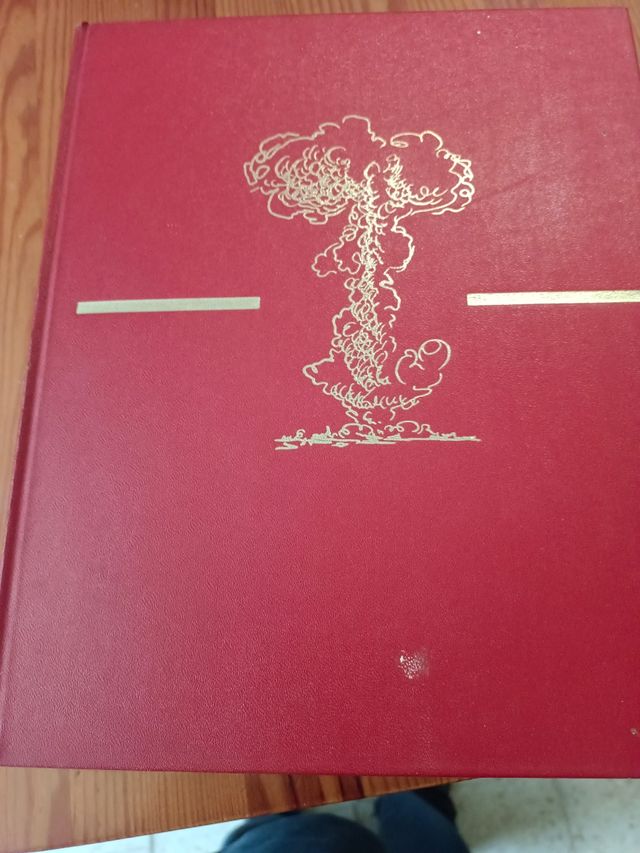 Segunda guerra mundiad