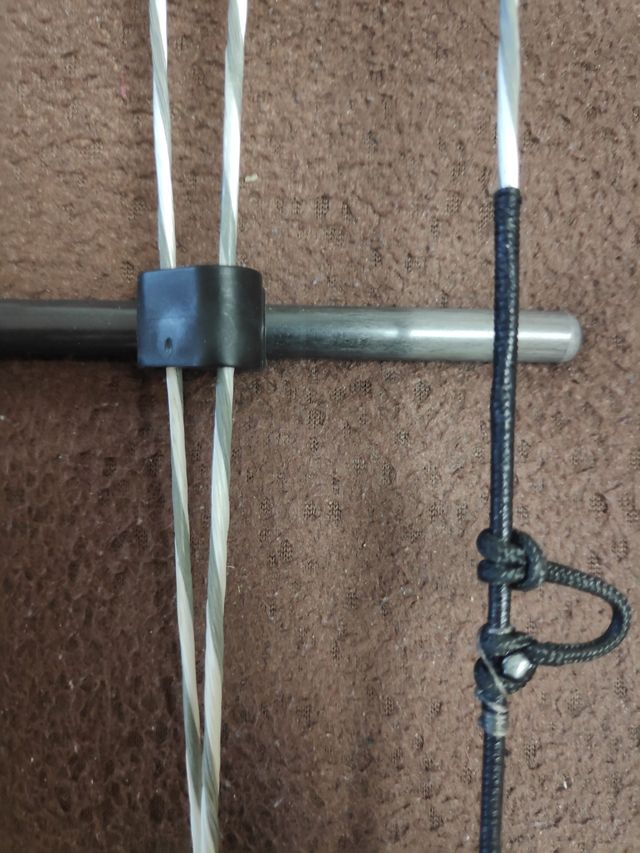 Hoyt Contender Élite nuevo