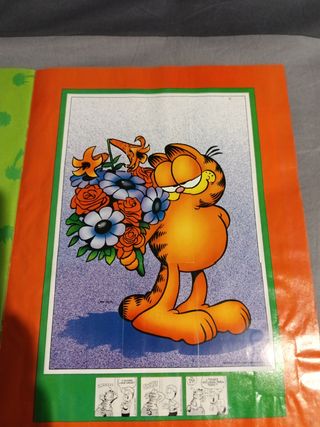 Álbum de cromos Garfield