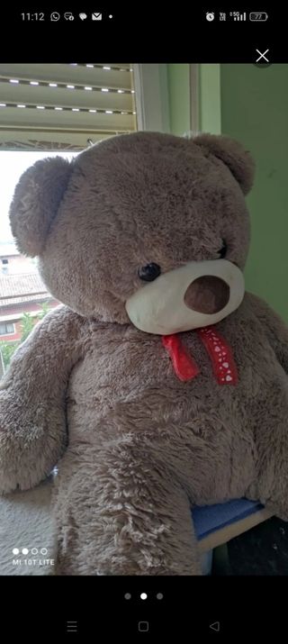 Orsacchiotto gigante