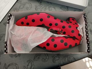 Zapato flamenca baile