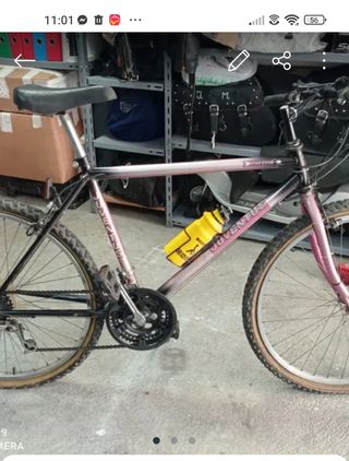 Bicicleta