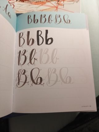 LetreArte: Descubre el arte de dibujar letras bonitas con este cuaderno de lettering para adultos. Una guía con instrucciones, consejos, técnicas y espacio para practicar tus propias caligrafías.