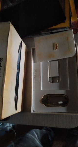 iPad mini 1