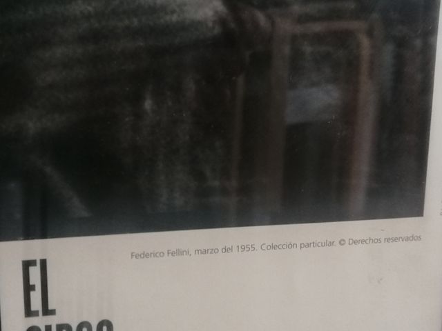 Cuadro Federico Fellini