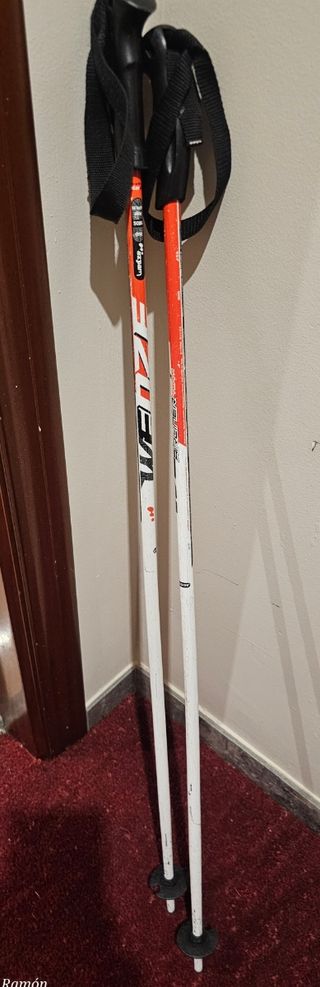 Bastones Ski 