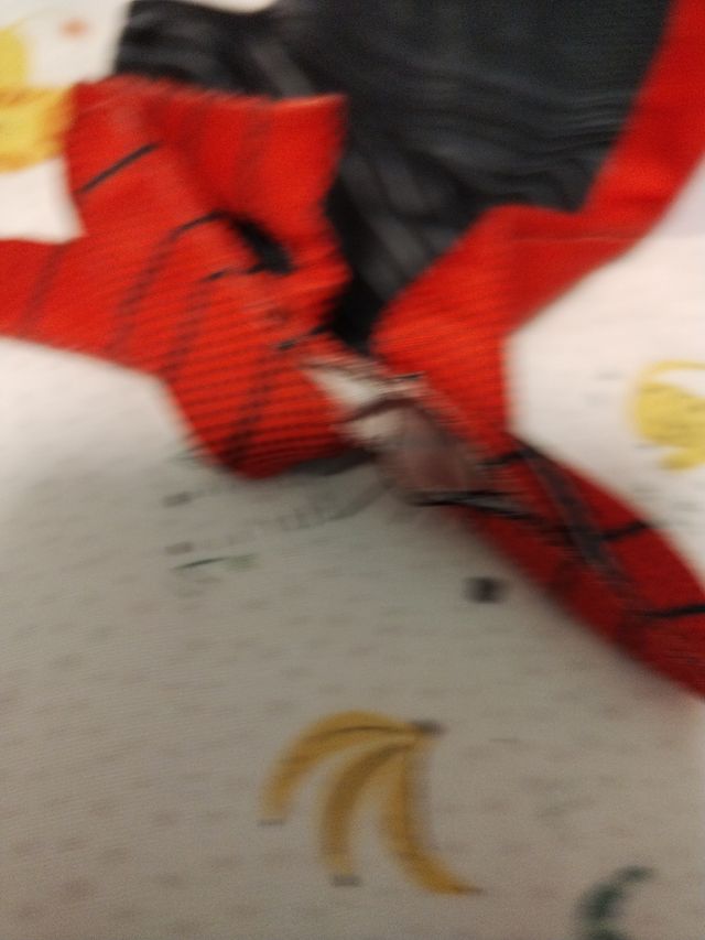 Disfraz Spiderman 6 a 8 años dependiendo del niño