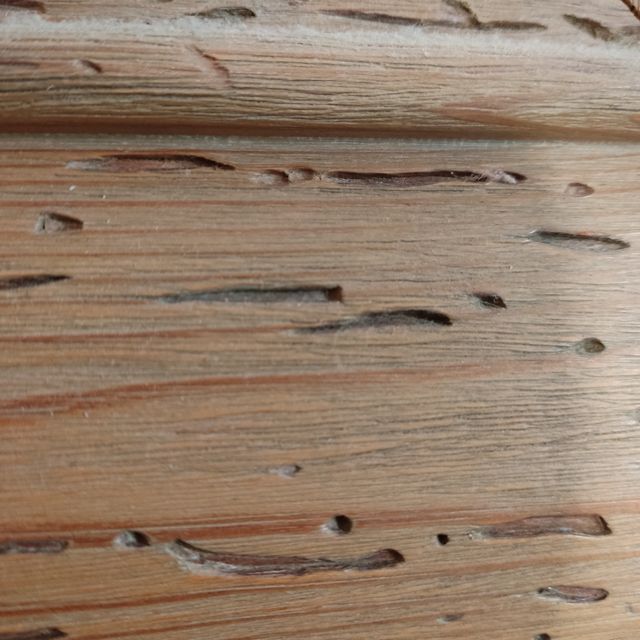 Cuadro al oleo jarrón lirios Van Gogh