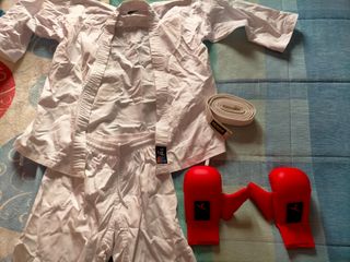 Traje de karate 