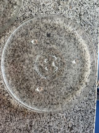Plato microondas