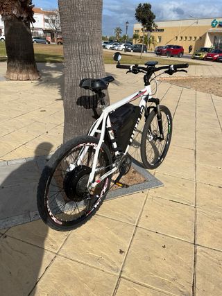 Bicicleta con motor electrico