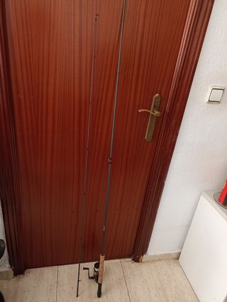 Caña pescar spining
