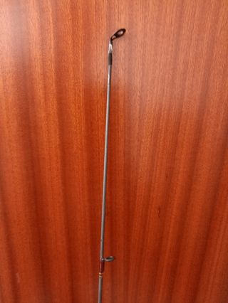 Caña pescar spining