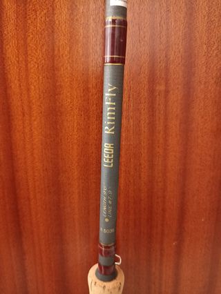 Caña pescar spining