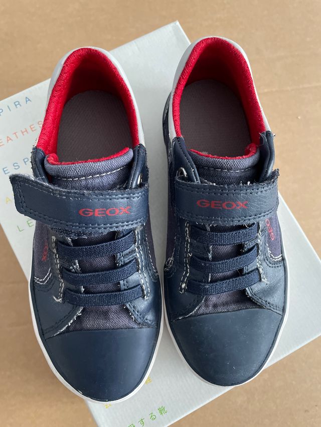 Zapatilla Niño. Geox. Talla 30