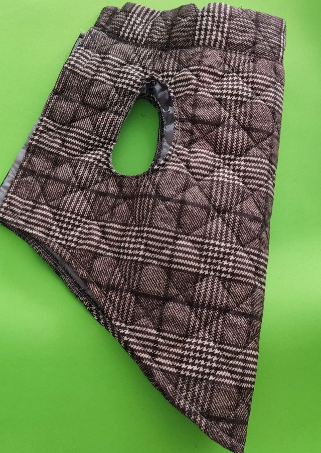 Chubasquero de perro