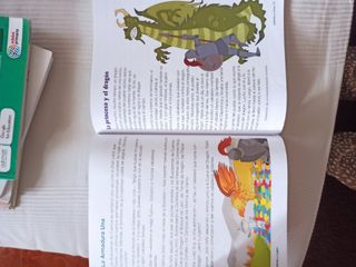 Libros 14. De primaria. Lote o sueltos.