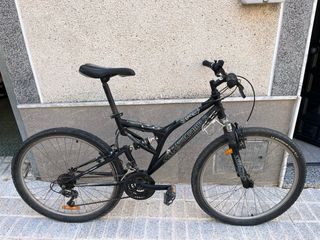 Bicicleta adulto