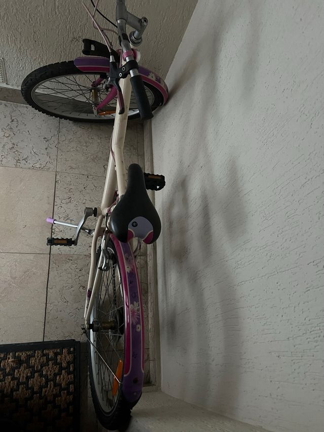 Bicicleta chica