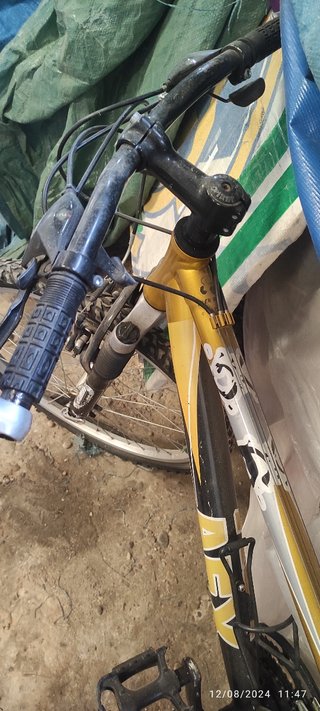 Bicicleta