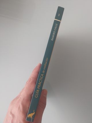 Guía Práctica de meditación