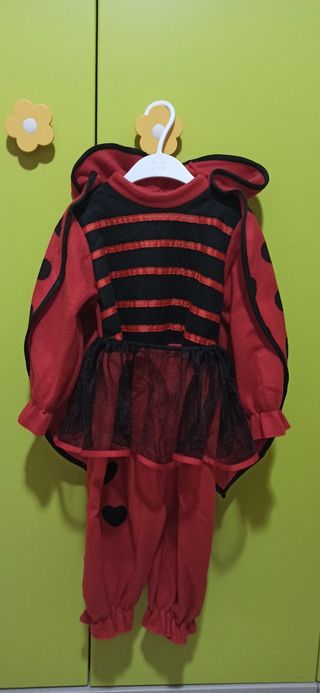 Vestito di carnevale coccinella 