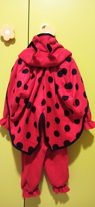 Vestito di carnevale coccinella 