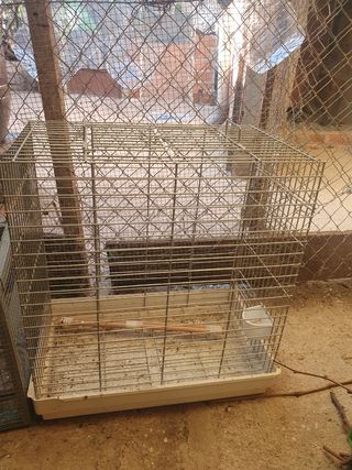 Jaula Mascotas