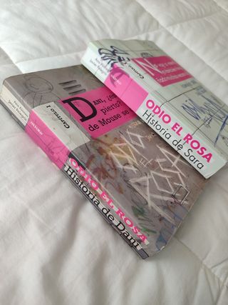 Historia de Sara y Historia de Dani