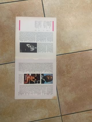 Vinile 33 giri n.6 la grande storia del rock