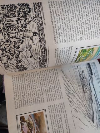 Album di adesivi n. 50 Wonders Nature