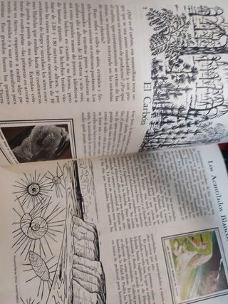 Album di adesivi n. 50 Wonders Nature