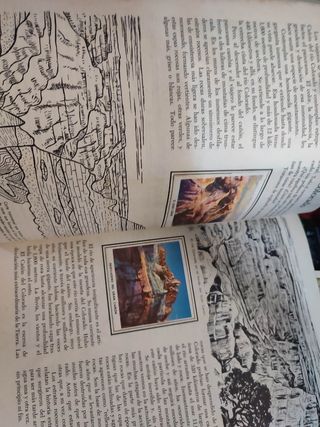 Album di adesivi n. 50 Wonders Nature