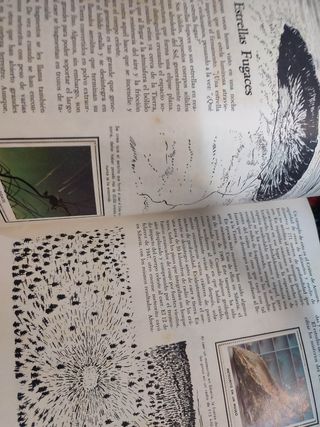 Album di adesivi n. 50 Wonders Nature