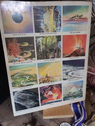 Album di adesivi n. 50 Wonders Nature