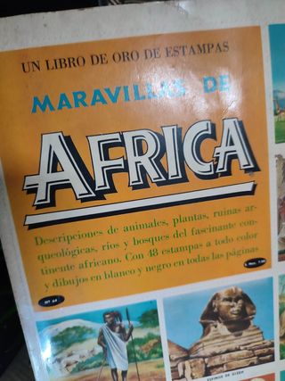 Album: MERAVIGLIE DELL'AFRICA N64