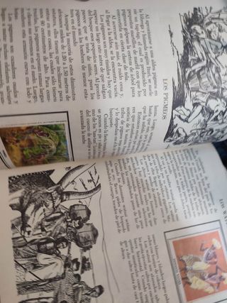 Album: MERAVIGLIE DELL'AFRICA N64